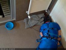 Filename: 2019-05-14953.jpg Size: 219.58 KB Uploaded: 14 May 2019, 19:15 Views: 97x 2019-05-14953.jpg