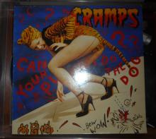  CYPDTD1.JPG thumbnail