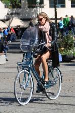  H_3953.jpg