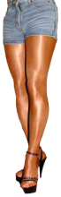  pantyhose-cat.png