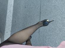  IMG_20200506_185407.jpg
