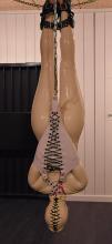  suspension_bondage-39_latex_encasement_single-glove.jpg thumbnail