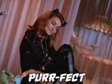  Purrfect.gif thumbnail