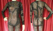  Cher bodysuit.jpg thumbnail