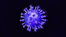  coronavirus-01.jpg