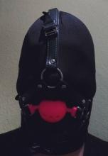  ali ballgag harness.jpg