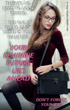  feminization_motivator-06.jpg thumbnail