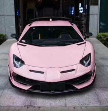  pink_lambo_tweaks-01.jpg