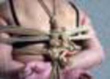  dvstill34cfn.jpg thumbnail