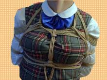  stripschoolft3c.jpg thumbnail
