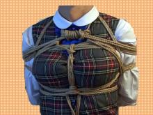  stripschoolftclosec.jpg thumbnail