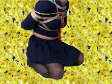  blueschoolsdc.jpg thumbnail
