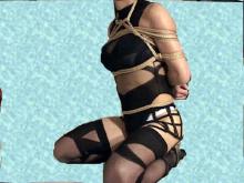  dvstill32c.jpg thumbnail