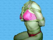  dsc00162c.jpg thumbnail
