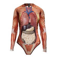  anatomic_swimsuit-04.png