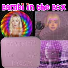  Bambi in the Box-01.jpg