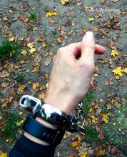  20221029_182550_KUB_handcuffs.jpg
