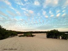  IMG_6003_dunes.JPG