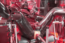  bdsmlr-10215415-35uaVoH7nr.gif