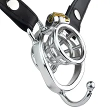  chastity_device_2024_261.webp