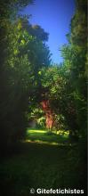  Parc de verdure 5.jpg thumbnail