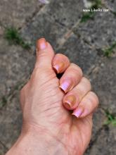  catrice_poolside_of_life_polish_20240725_164153.jpg