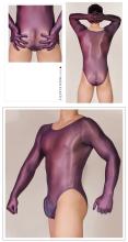 mens_sheer_transparent_lycra_leotard_with_gloves-18.jpg