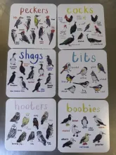  birds-01.webp thumbnail