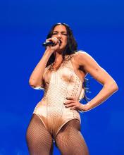  dua_lipa-14_in_fishnet_pantyhose_swimsuit.jpg