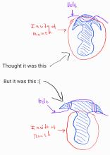  Notes_250807_141005.jpg