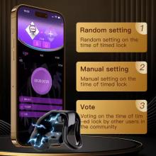 remotely_controlled_chastity_cage_with_estim-01.jpg thumbnail