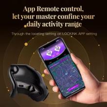 remotely_controlled_chastity_cage_with_estim-03.jpg thumbnail