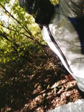 Filename: IMG20250919111033.jpg Size: 1.68 MB Uploaded: Yesterday, 22:17 Views: 1x IMG20250919111033.jpg