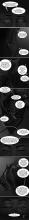 Rat 10.jpg thumbnail