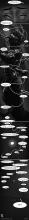 Rat 12.jpg thumbnail
