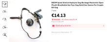 snapshot_www.aliexpress.com_1763103252253_1.png thumbnail