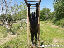  Zentai sur parcours santé (3).jpg