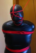 IMG_2834.jpeg thumbnail