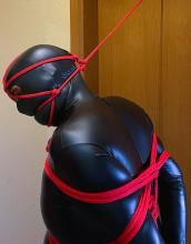 IMG_2837.jpeg thumbnail