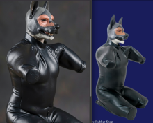  Screen Shot 2026-02-11 at 12.27.22 AM.png