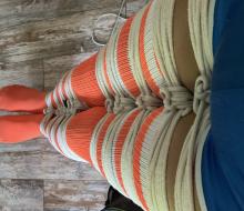  IMG_0548.jpeg