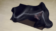  nylon-trap1-optimize.gif