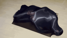  nylon-trap4-optimize.gif