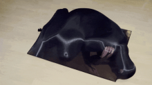  nylon-trap3-optimize.gif