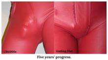  Five years' progress.jpg
