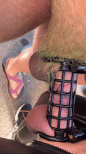  get-along-cage-cd0jq25dfdsd1.gif