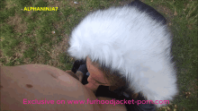 New New.gif thumbnail